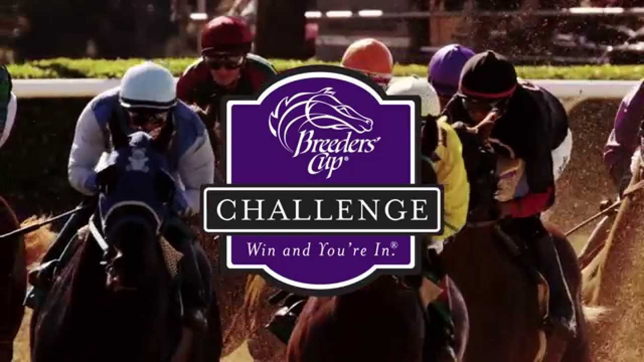 unique casino arnaque