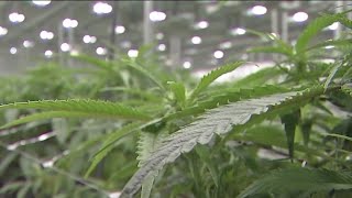 Group pushes for recreational marijuana in Ohio