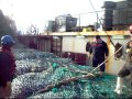 pesca de altura en el mar argentino,pesquero "cabo buena ezperanza"