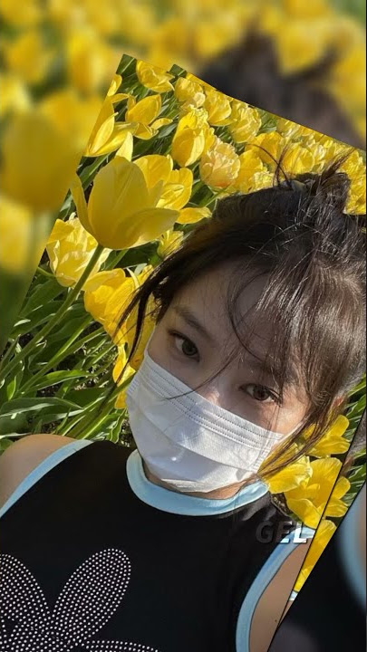 PRESET JEDAG JEDUG DJ BABIBUMBUM VIRAL TIKTOK | CHAEYOUNG