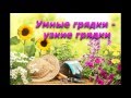 Умные грядки - узкие грядки