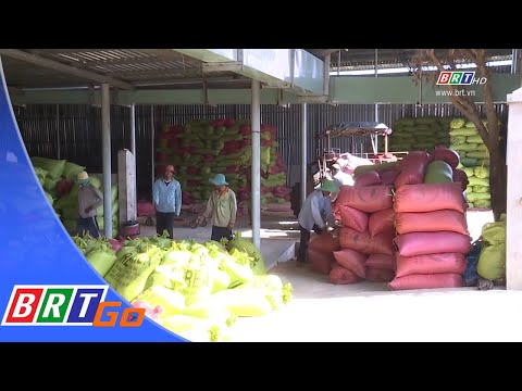 Video Tổng kết, đánh giá kết quả thực hiện Quyết định 461... - youtube