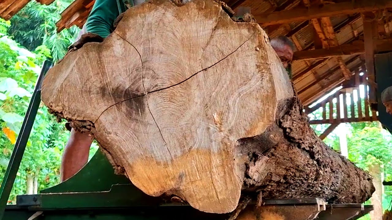 The process of processing beautiful old and long teak wood is worth fantastic #211