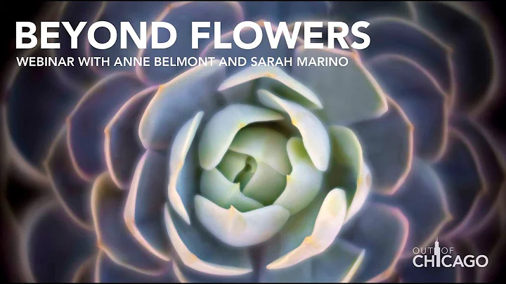 Beyond Flowers: Finding New Opportunities in the Garden & and in Nature