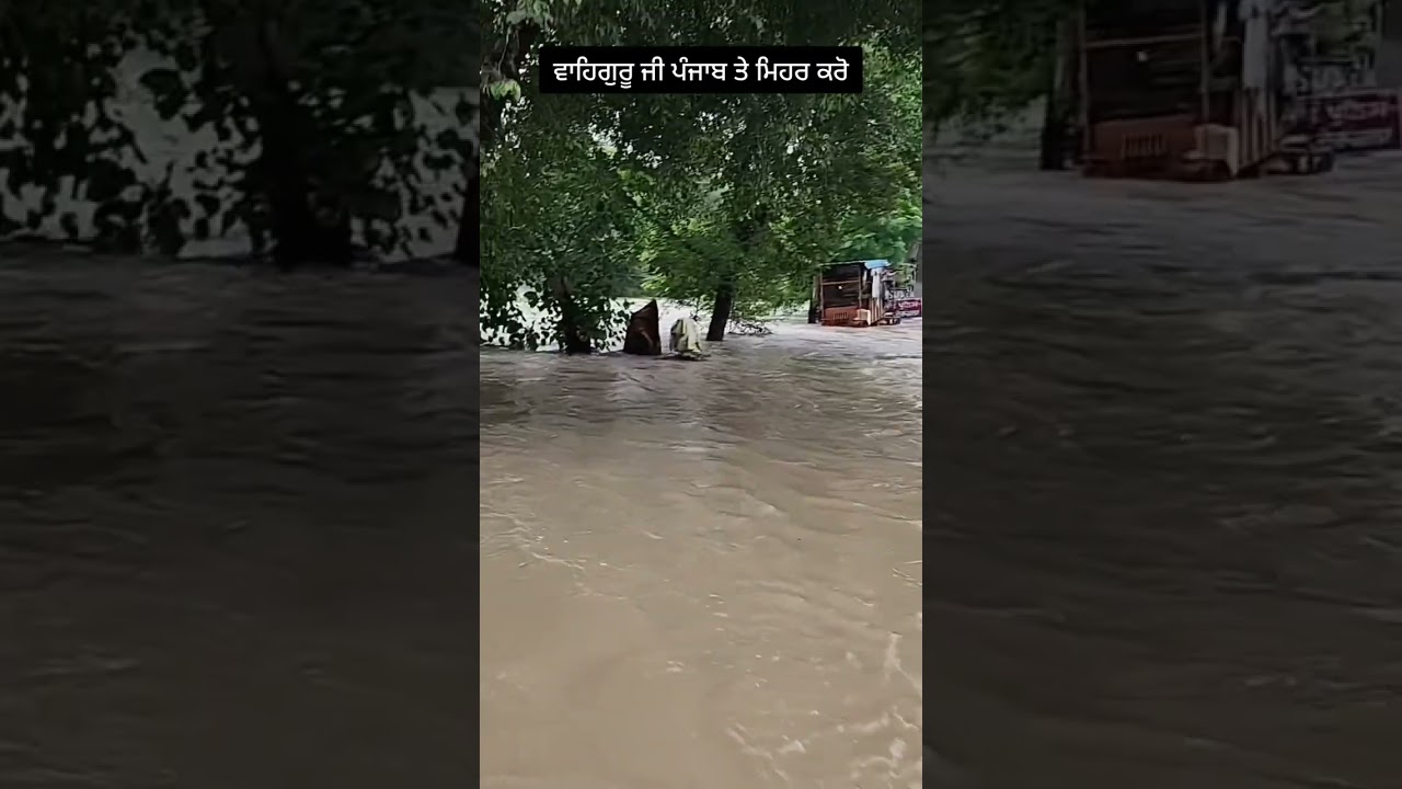 Punjab floods 2025 