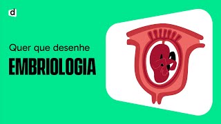 EMBRIOLOGIA | QUER QUE DESENHE | MAPA MENTAL