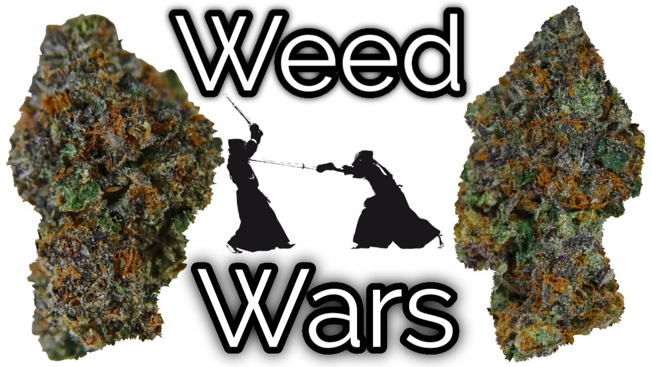 Sunset Sherbert VS Purple Sherbert