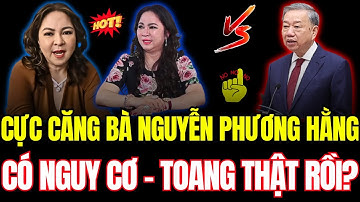Bí Ẩn Nguyễn Phương Hằng Kiện YouTuber Ở Mỹ: Lương Cường Và Tô Lâm Điều Tra Lại Hồ Sơ Khởi Tố