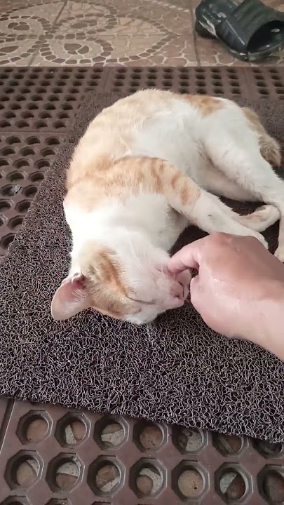 Doa yang indah merdu