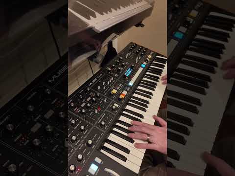 #beatober Day 6.  Rainy Day.  #moogmuse