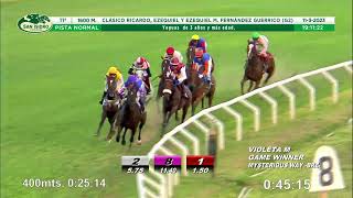 Vidéo de la course PMU PRIX PREMIO CLASICO RICARDO, EZEQUIEL Y EZEQUIEL M. FERNANDEZ GUERRICO G2