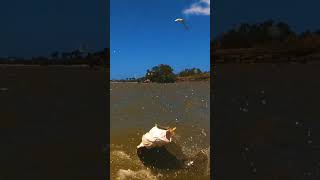 Pesca de lenguado en Marchiquita, la pesca que se viene..