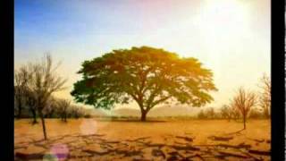 Green Fresh 30 Sec Mpeg1.mpg
