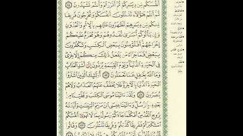 المصحف المرتل برواية حفص عن عاصم الصفحة رقم 13 #القرآن_الكريم