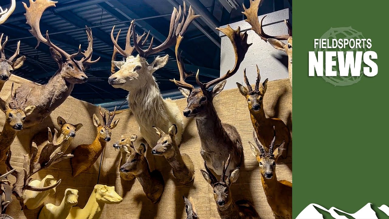 Zac Goldsmith’s back-door ban on hunting trophies