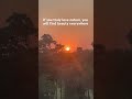 Nature love #nature #shortvideo #shorts #shortsfeed