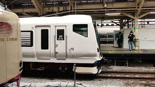 【JR東日本】E257系回送列車 東京駅到着
