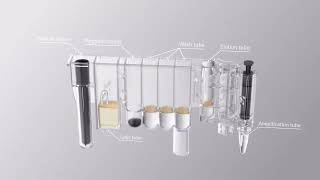 Introduction of Fully Automatic Molecular Diagnostic System
