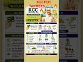 KISAN CREDIT CARD SCHEME KCC #kcc #kisan #shorts #shortsfeed