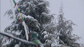 The first snow fall/ Short Film.