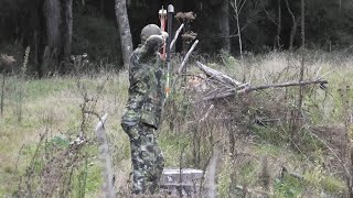 Wairangi Wandering (Part Two) - Sheep, Goat, And Pre-Rut Fallow Deer Hunting