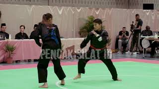 Terlempar 2 Meter Terkena Tendangan T Wewey Wita Pencak Silat Indonesia