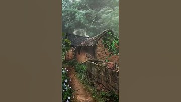 #shorts #nature #naturephotography #love #status #greenry #rain #monsoon #lovestatus #viralvideo