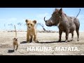 Hakuna. Matata.