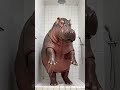 #ai #aishorts #aivideo #aiart #youtube #youtubeshorts #youtubestudio #viral #hippo #penguin