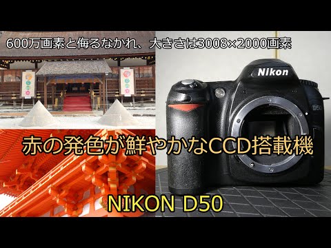 NIKON D50 ジャンクカメラ紹介 赤の発色が鮮やかなCCD搭載機 - YouTube