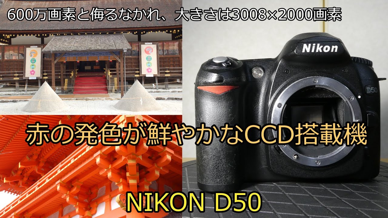 NIKON D50 ジャンクカメラ紹介 赤の発色が鮮やかなCCD搭載機 - YouTube