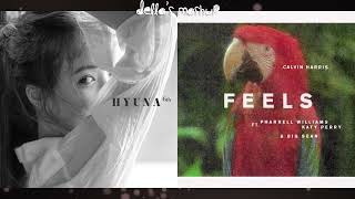 Feels X 베베 (BABE) - HyunA & Calvin Harris (Mashup)