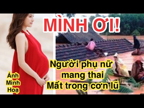 Video MÌNH ƠI- ĐÓ LÀ TIẾNG GỌI XÉ LÒNG CỦA CHỊ PHƯỢNG NGƯỜI... - youtube