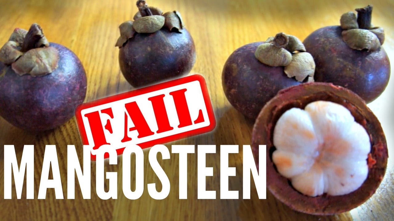 MANGOSTEEN Taste Test -- how not to pick a mangosteen | Fruity Fruits | emmymade