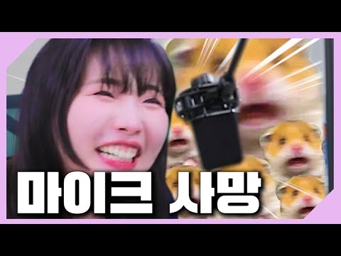 내 거친 생각과 불안한 눈빛과 그걸 지켜보는 갱단