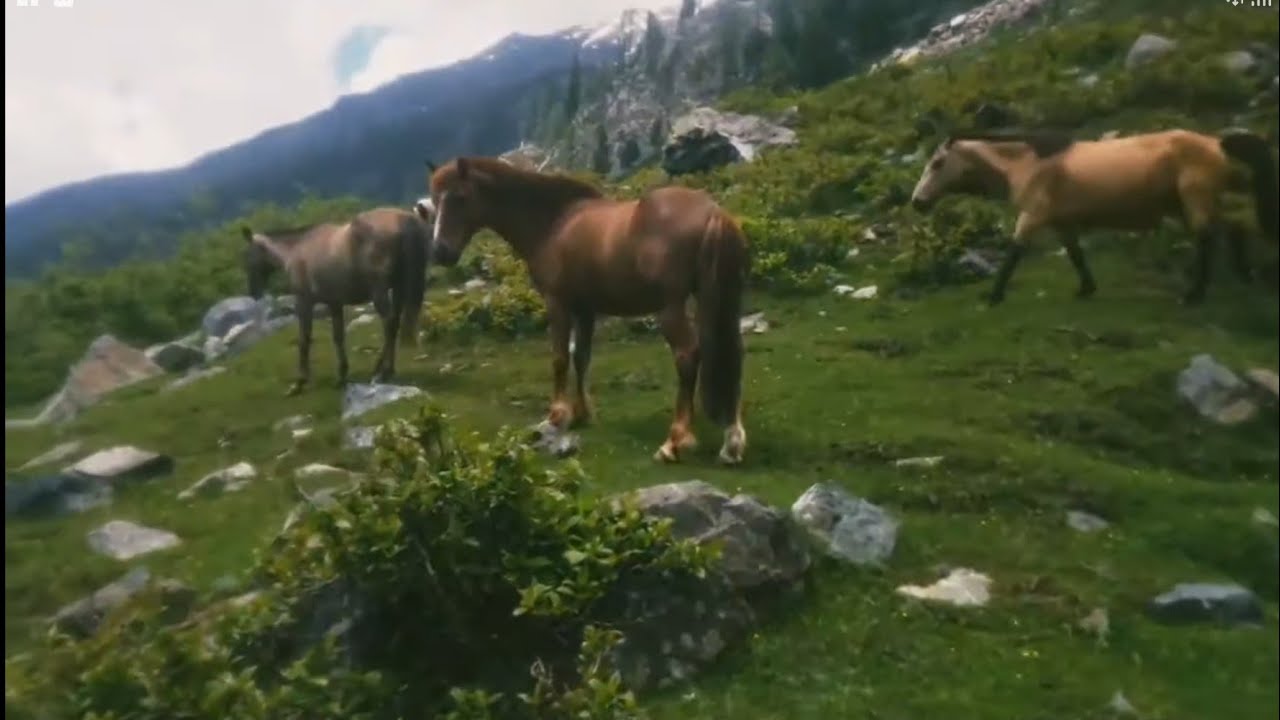 Wadi E Chor Battagram  || I  Am Pakistan|| Episode # 03