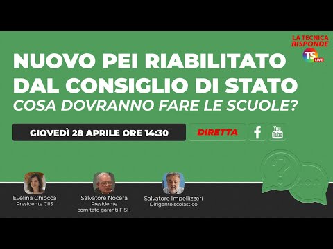 Nuovo Pei riabilitato dal Consiglio di Stato: cosa dovranno fare le scuole?