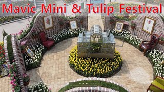 Mavic Mini Tulip Festival
