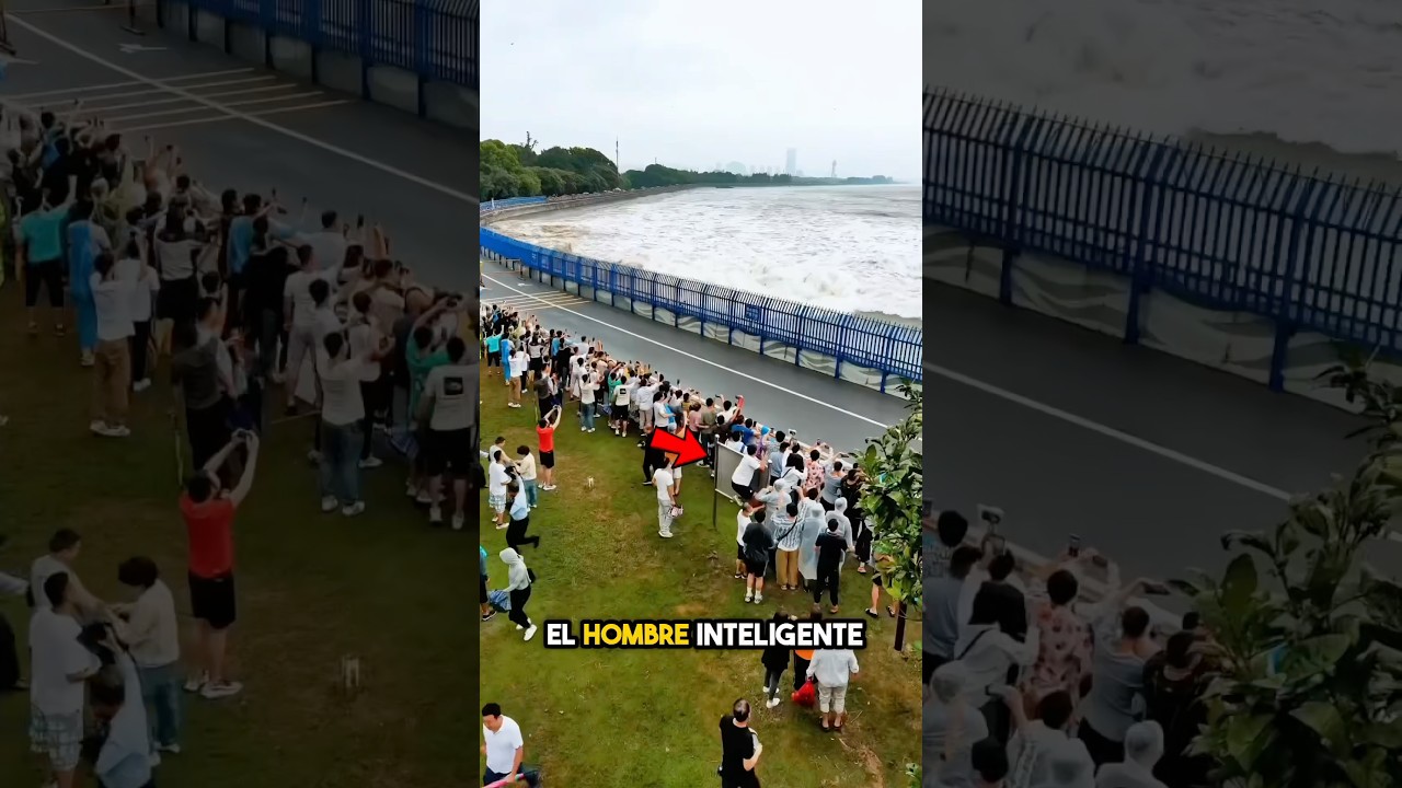 ¡Este Genio Los Engañó A Todos!😮