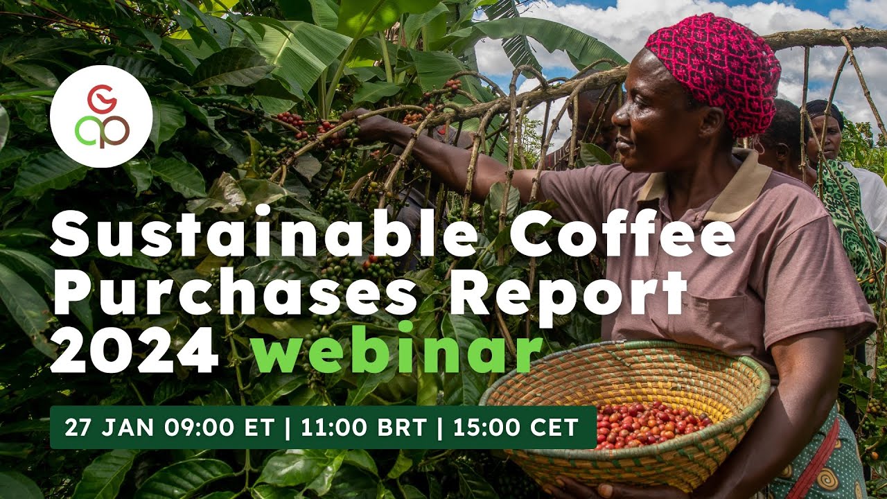 GCP Sustainable Coffee Purchases Report 2024 - Webinar
