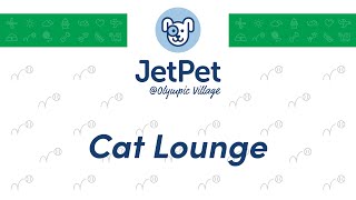 OV: Cat Lounge - May 14th, 2024