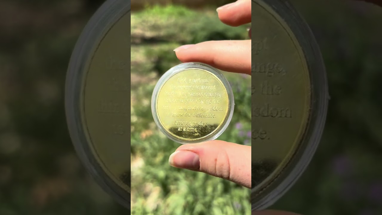 Serenity Prayer One Day at A Time Jesus Gold Plated Coin