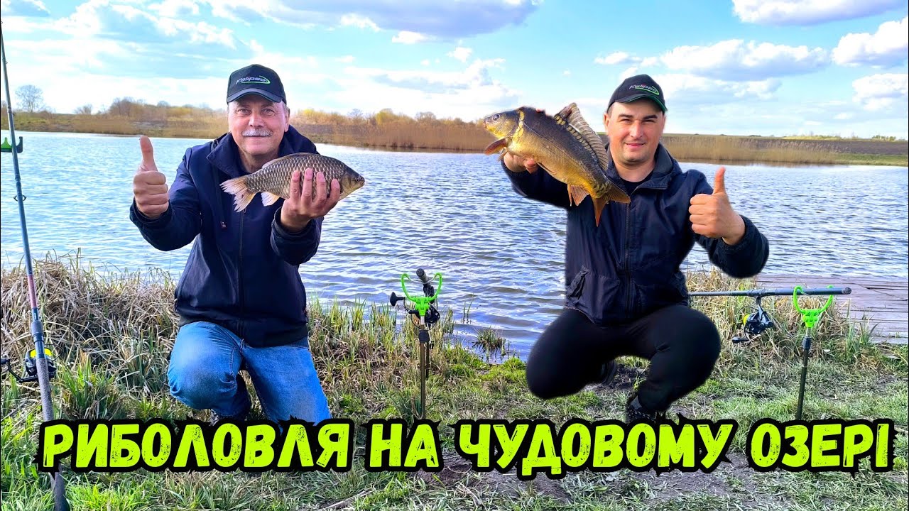 Карасі як коропи на цікавому озері
