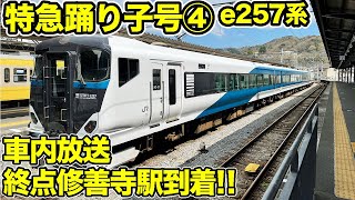 【e257系特急踊り子号_4】終点修善寺駅到着‼車内放送 伊豆箱根鉄道駿豆線