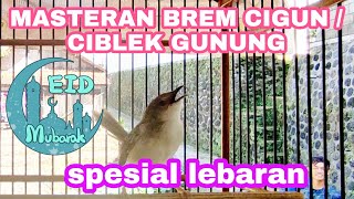 MASTERAN BREM CIGUN || CIBLEK GUNUNG GACOR