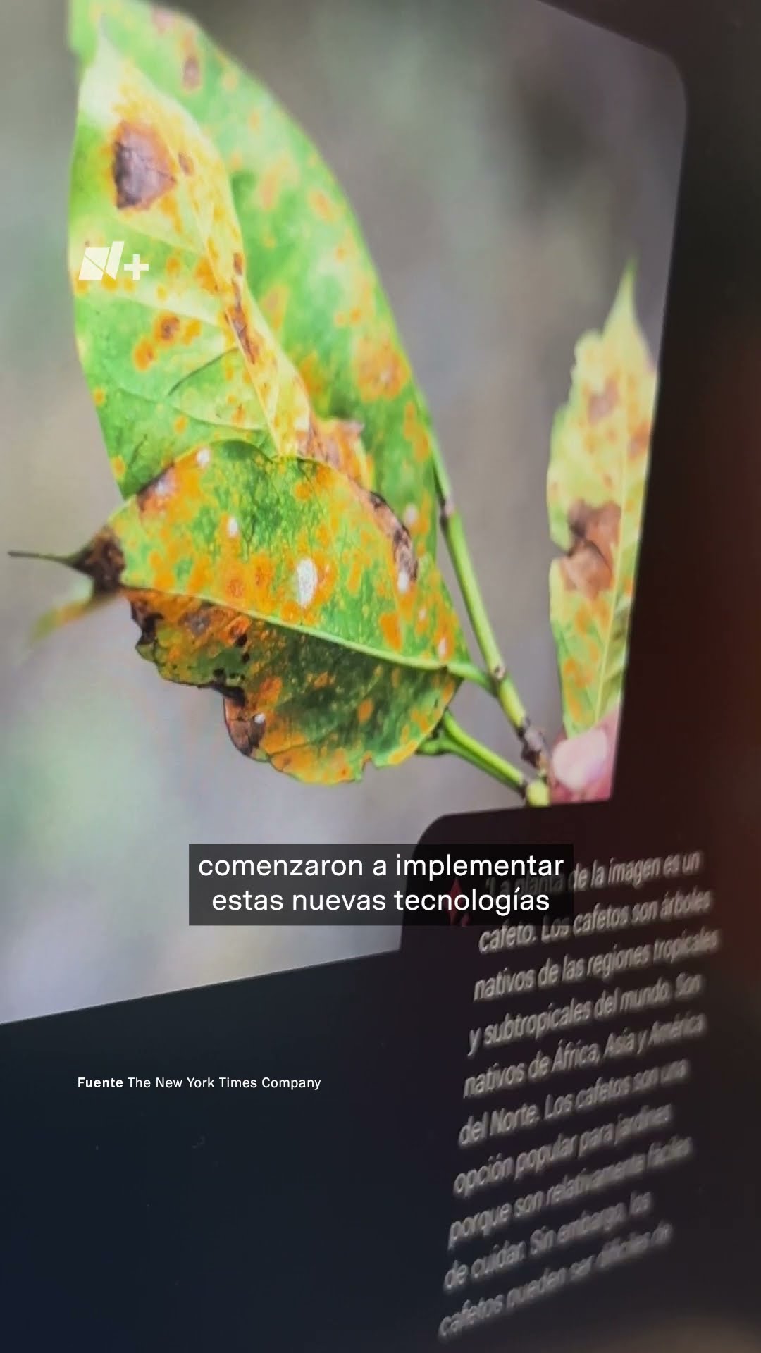 DeepSeek, un nuevo software de inteligencia artificial #nmas #shorts #ia