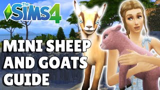 Complete Guide To Mini Sheep And Mini Goats In The Sims 4 Horse Ranch