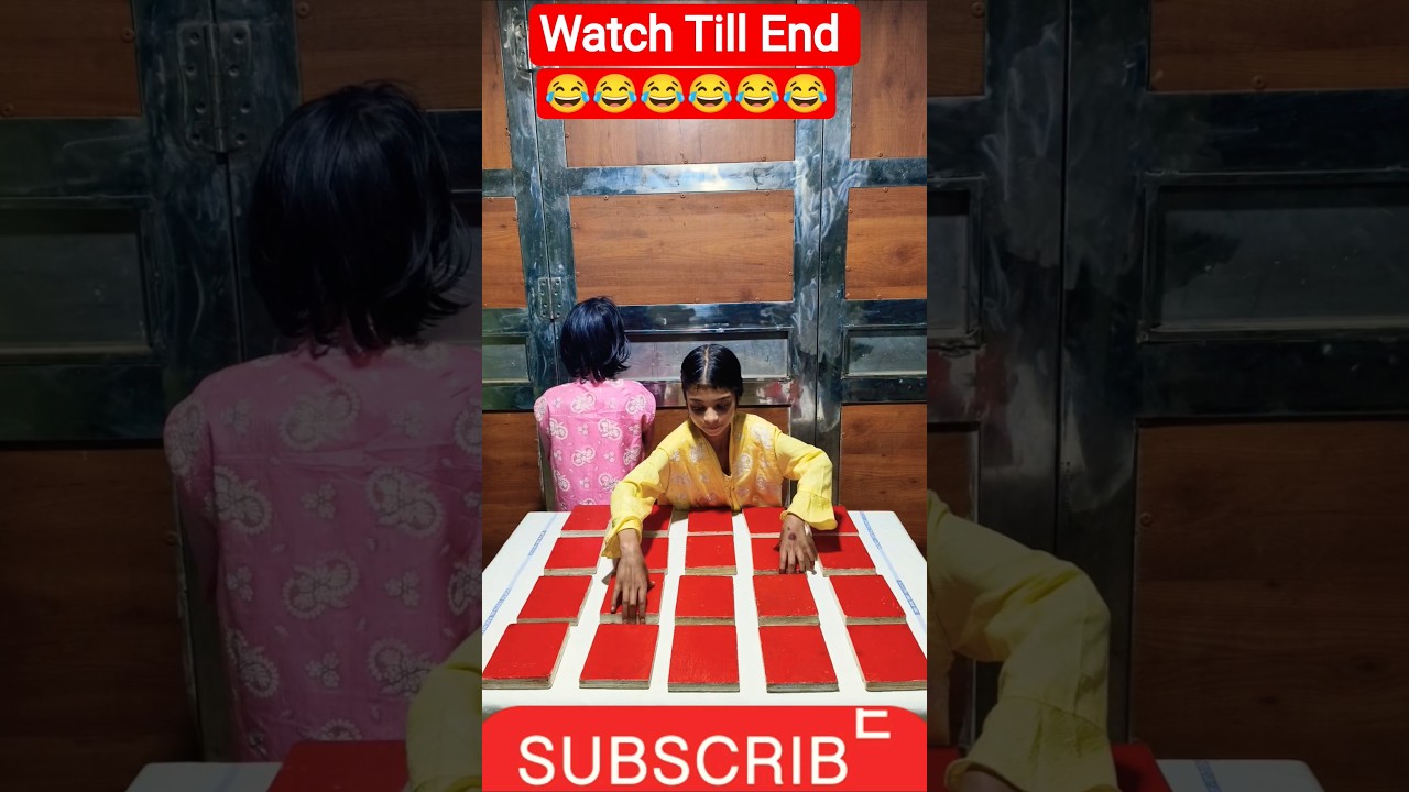 Sana Mir Vs Sadak Memory Challenge game! 