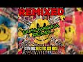 Steve Mac Robert Owens Wish Bushwacka Remix mp3
