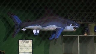Broadcast on Pirates' shark tank